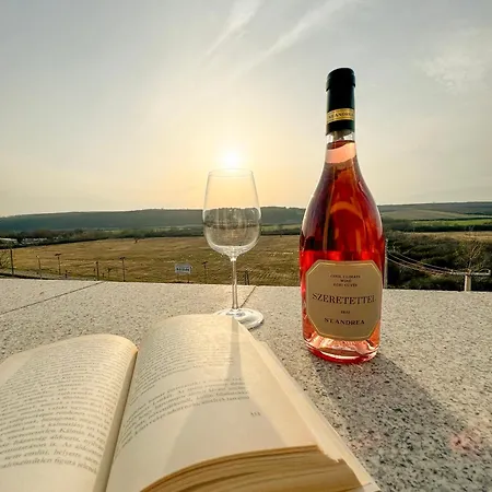 Salt Hill Premium 4*